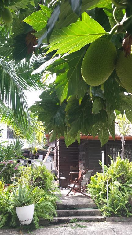 Apartamento Sailodge.Com San Andrés Chambre photo